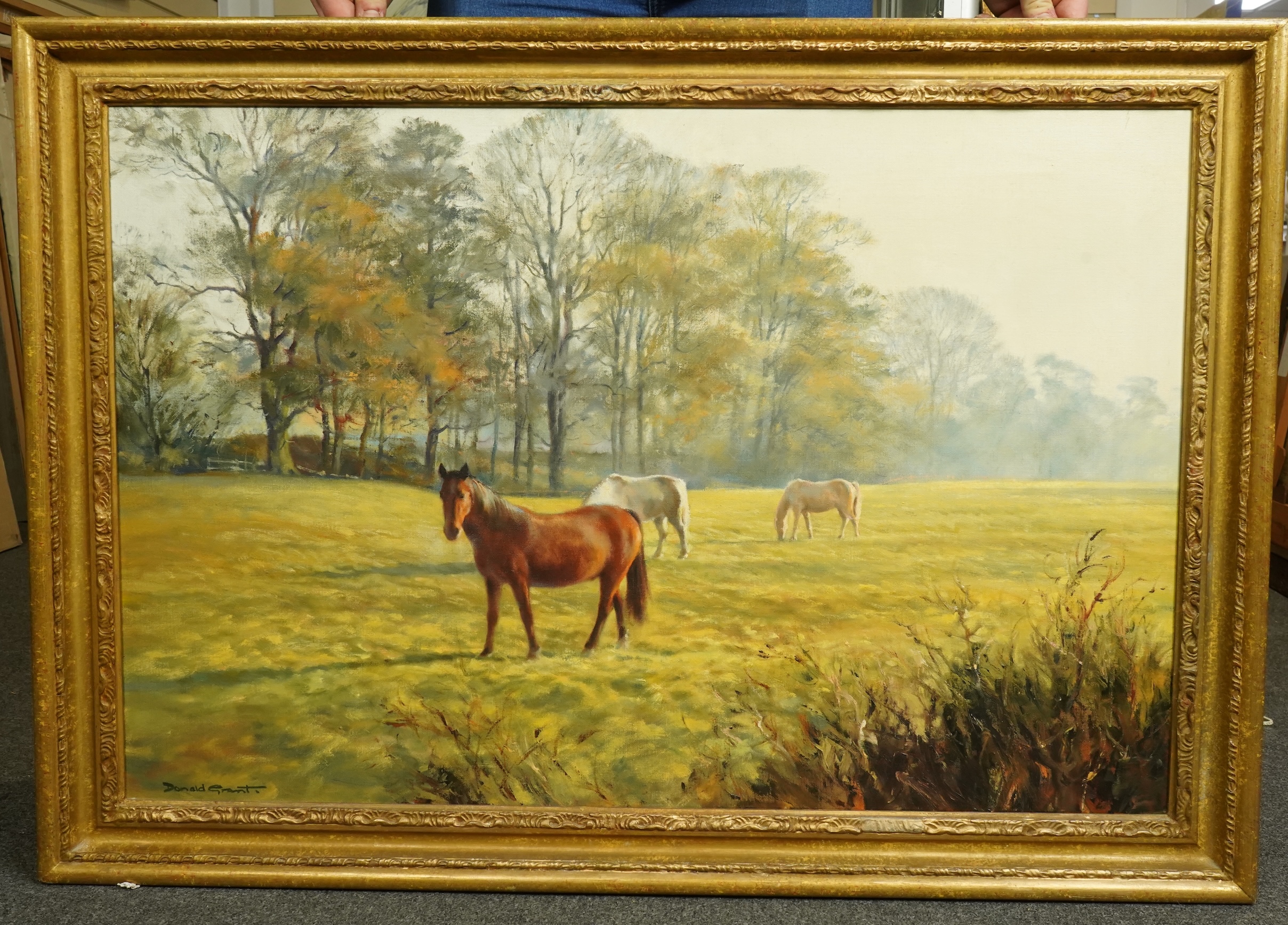 Donald Grant (English, 1924-2001), Horses in a paddock, oil on canvas, 60 x 90cm